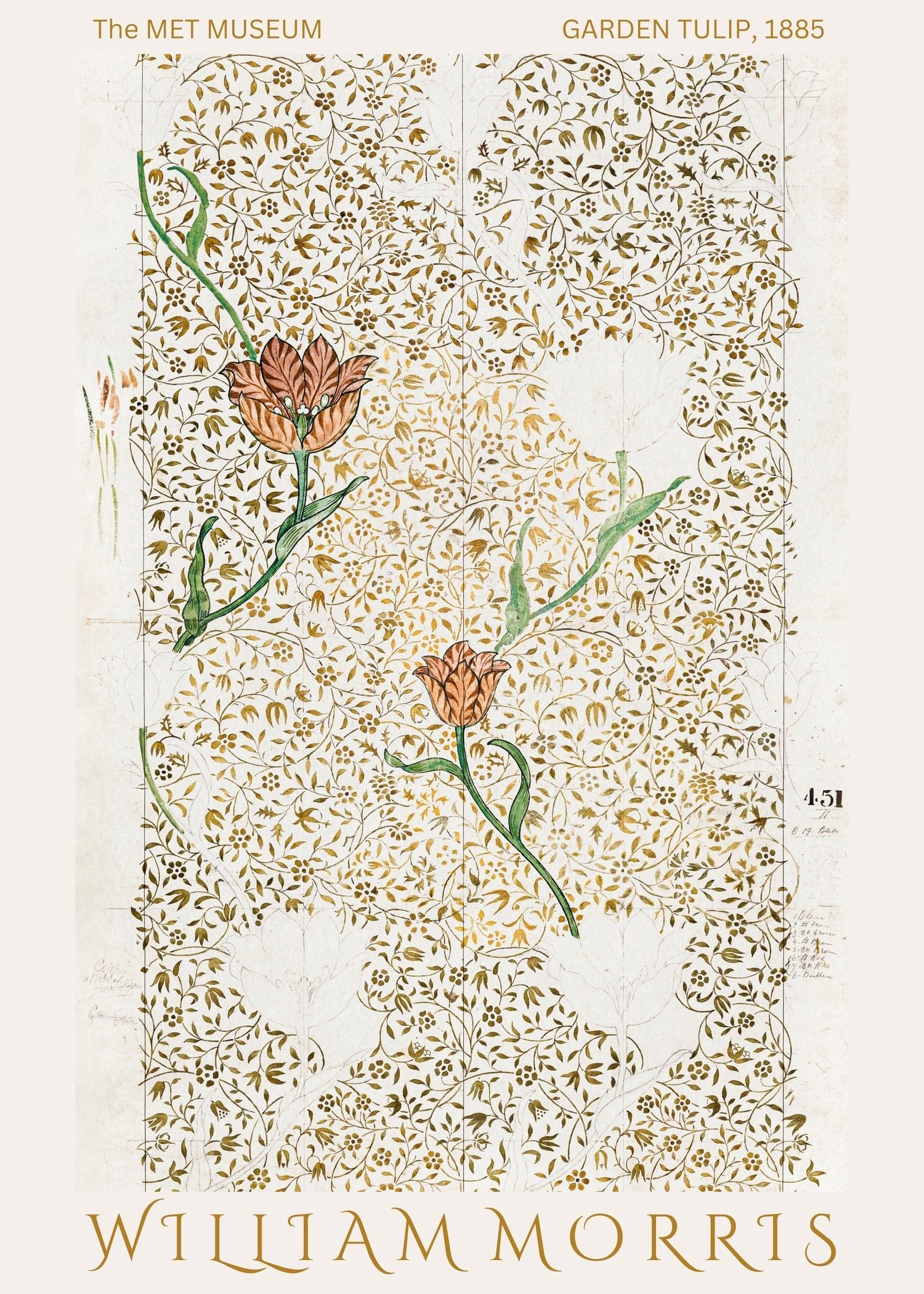 William Morris — Tulip | Botanical Art Print - 9ArtPrints