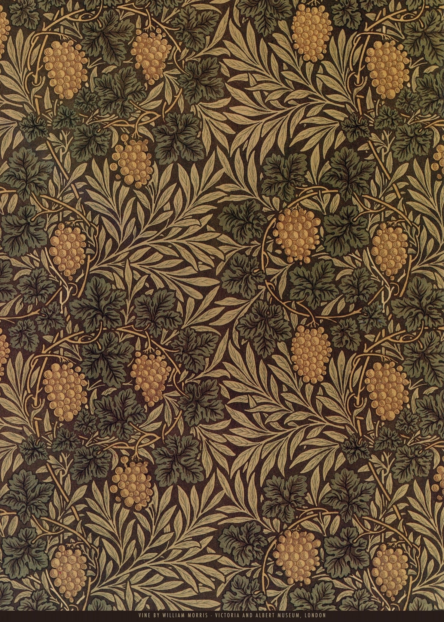 William Morris — Vine | Botanical Art Print - 9ArtPrints