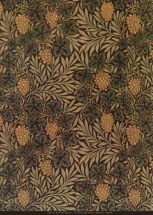 William Morris — Vine | Botanical Art Print - 9ArtPrints
