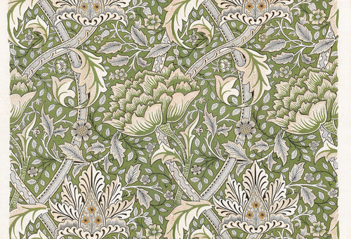 William Morris — Windrush (Sage Green) | Botanical Art Print - 9ArtPrints