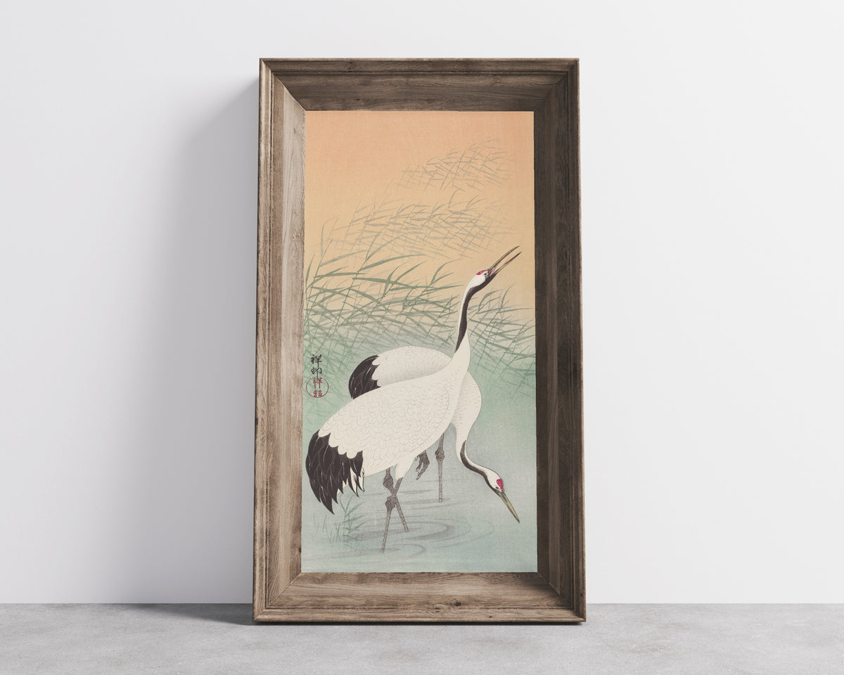 Ohara Koson — Two Cranes (Among the Reeds) | Japanese Bird & Flower Woodblock Print