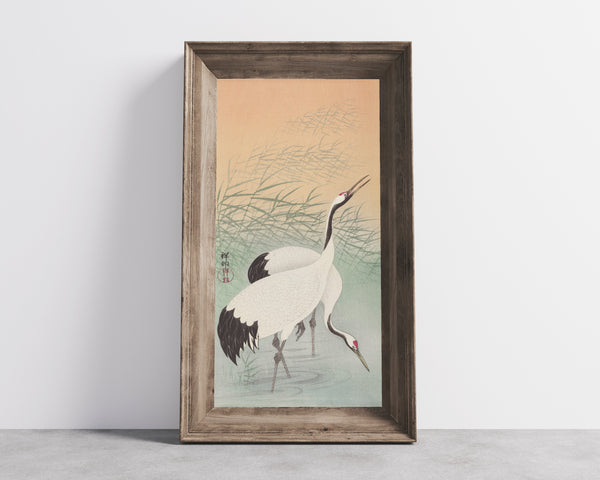 Ohara Koson — Two Cranes (Among the Reeds) | Japanese Bird & Flower Woodblock Print